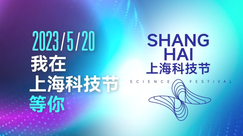 提升网站搜索性能，掌握这些关键策略